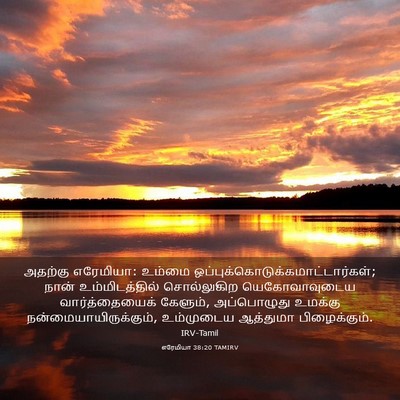 Picture 03 - எரேமியா 38:20 TAMIRV - அதற்கு எரேமியா: - Bible Verse Picture