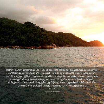 Picture 03 - எரேமியா 38:22 TAMIRV - இதோ, யூதா ராஜாவின் - Bible Verse Picture