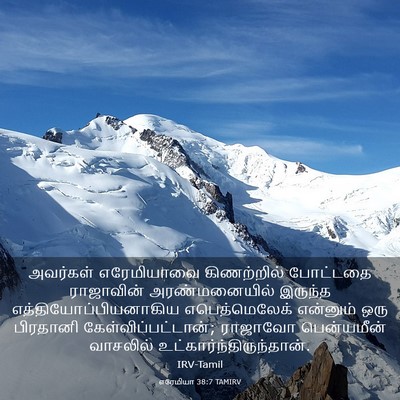 Picture 03 - எரேமியா 38:7 TAMIRV - அவர்கள் எரேமியாவை - Bible Verse Picture