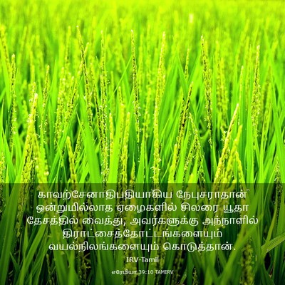 Picture 03 - எரேமியா 39:10 TAMIRV -  - Bible Verse Picture