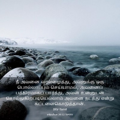 Picture 03 - எரேமியா 39:12 TAMIRV - நீ அவனை வரவழைத்து, - Bible Verse Picture