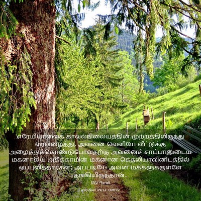 Picture 03 - எரேமியா 39:14 TAMIRV - எரேமியாவைக் - Bible Verse Picture