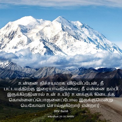 Picture 03 - எரேமியா 39:18 TAMIRV - உன்னை நிச்சயமாக - Bible Verse Picture