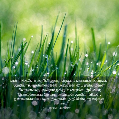 Picture 03 - எரேமியா 4:22 TAMIRV - என் மக்களோ - Bible Verse Picture