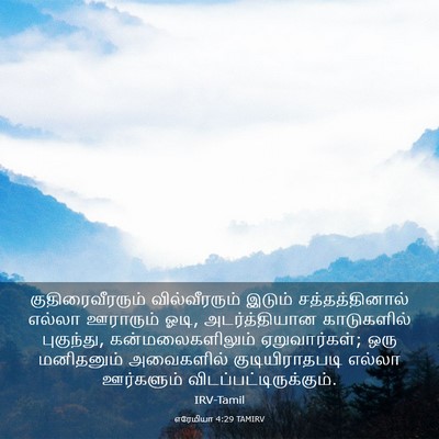 Picture 03 - எரேமியா 4:29 TAMIRV - குதிரைவீரரும் - Bible Verse Picture