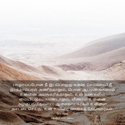Picture 03 - எரேமியா 4:30 TAMIRV - பாழாய்ப்போன நீ - Bible Verse Picture