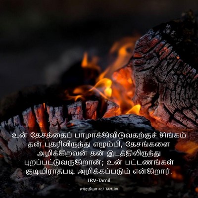 Picture 03 - எரேமியா 4:7 TAMIRV - உன் தேசத்தைப் - Bible Verse Picture