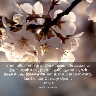 Picture 03 - எரேமியா 4:9 TAMIRV - அந்நாளில் - Bible Verse Picture