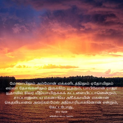 Picture 03 - எரேமியா 40:11 TAMIRV - மோவாபிலும் - Bible Verse Picture