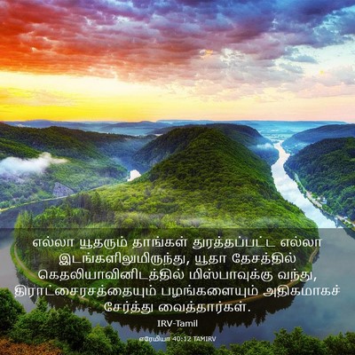 Picture 03 - எரேமியா 40:12 TAMIRV - எல்லா யூதரும் - Bible Verse Picture