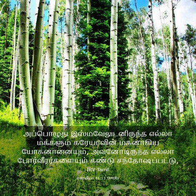 Picture 03 - எரேமியா 41:13 TAMIRV - அப்பொழுது - Bible Verse Picture