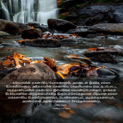 Picture 03 - எரேமியா 41:16 TAMIRV - கரேயாவின் மகனாகிய - Bible Verse Picture