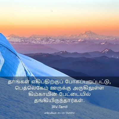 Picture 03 - எரேமியா 41:18 TAMIRV - தாங்கள் - Bible Verse Picture