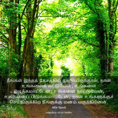 Picture 03 - எரேமியா 42:10 TAMIRV - நீங்கள் இந்தத் - Bible Verse Picture