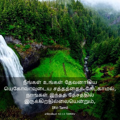 Picture 03 - எரேமியா 42:13 TAMIRV - நீங்கள் உங்கள் - Bible Verse Picture