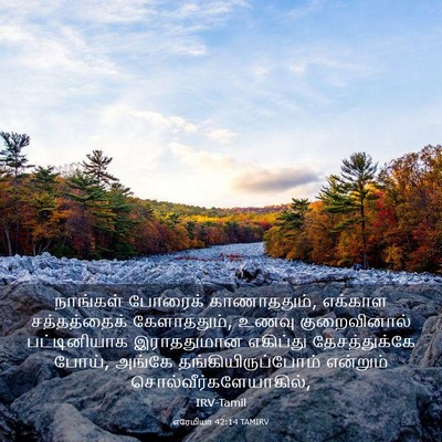 Picture 03 - எரேமியா 42:14 TAMIRV - நாங்கள் போரைக் - Bible Verse Picture