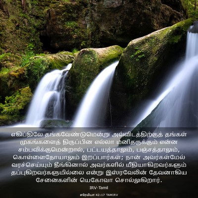 Picture 03 - எரேமியா 42:17 TAMIRV - எகிப்திலே - Bible Verse Picture