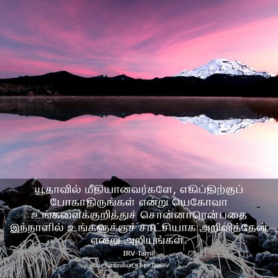 Picture 03 - எரேமியா 42:19 TAMIRV - யூதாவில் - Bible Verse Picture