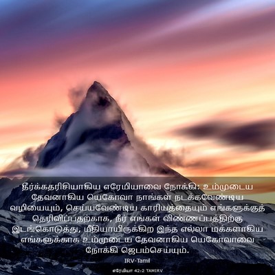 Picture 03 - எரேமியா 42:2 TAMIRV -  - Bible Verse Picture