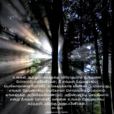 Picture 03 - எரேமியா 42:20 TAMIRV - உங்கள் - Bible Verse Picture
