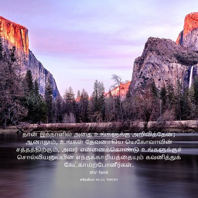 Picture 03 - எரேமியா 42:21 TAMIRV - நான் இந்நாளில் - Bible Verse Picture