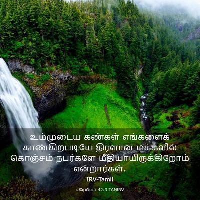 Picture 03 - எரேமியா 42:3 TAMIRV - உம்முடைய கண்கள் - Bible Verse Picture