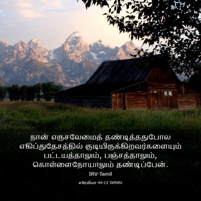 Picture 03 - எரேமியா 44:13 TAMIRV - நான் எருசலேமைத் - Bible Verse Picture