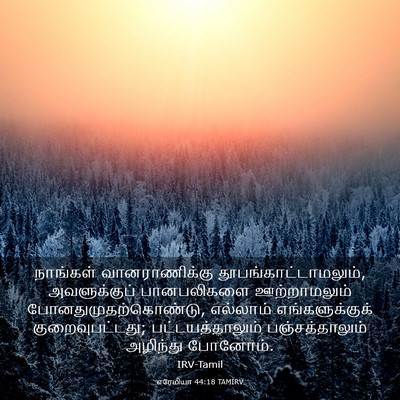 Picture 03 - எரேமியா 44:18 TAMIRV - நாங்கள் - Bible Verse Picture