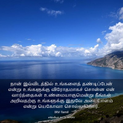 Picture 03 - எரேமியா 44:29 TAMIRV - நான் இவ்விடத்தில் - Bible Verse Picture