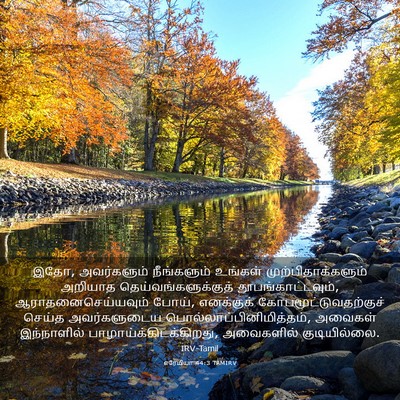 Picture 03 - எரேமியா 44:3 TAMIRV - இதோ, அவர்களும் - Bible Verse Picture