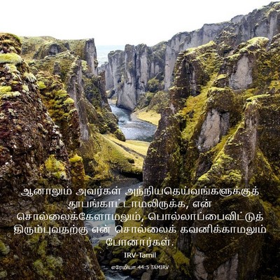 Picture 03 - எரேமியா 44:5 TAMIRV - ஆனாலும் அவர்கள் - Bible Verse Picture