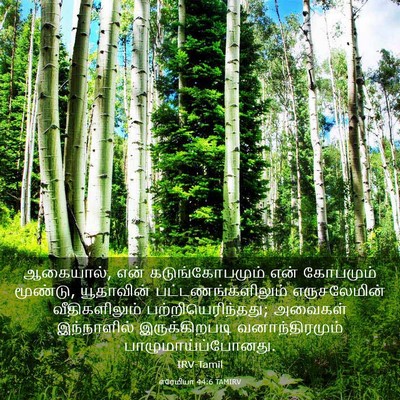 Picture 03 - எரேமியா 44:6 TAMIRV - ஆகையால், என் - Bible Verse Picture