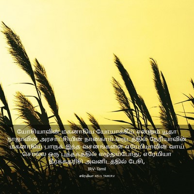 Picture 03 - எரேமியா 45:1 TAMIRV - யோசியாவின் - Bible Verse Picture