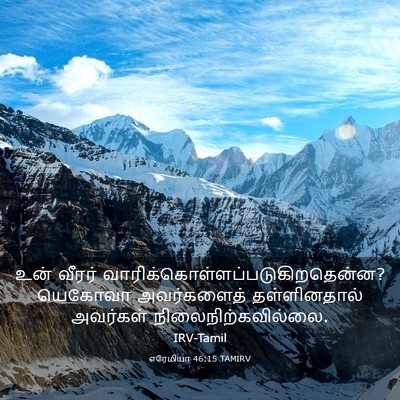 Picture 03 - எரேமியா 46:15 TAMIRV - உன் வீரர் - Bible Verse Picture