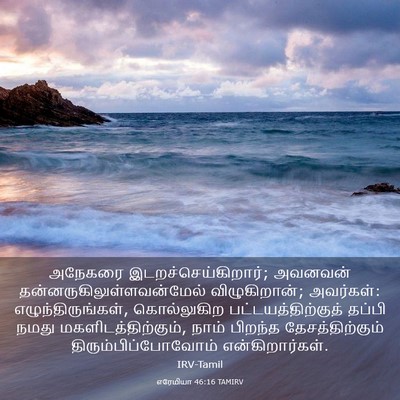 Picture 03 - எரேமியா 46:16 TAMIRV - அநேகரை - Bible Verse Picture