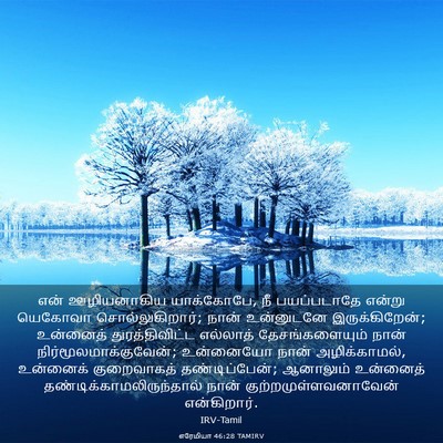 Picture 03 - எரேமியா 46:28 TAMIRV - என் ஊழியனாகிய - Bible Verse Picture