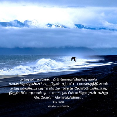 Picture 03 - எரேமியா 46:5 TAMIRV - அவர்கள் கலங்கி, - Bible Verse Picture