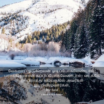 Picture 03 - எரேமியா 46:6 TAMIRV - வேகமாய் ஓடுகிறவன் - Bible Verse Picture