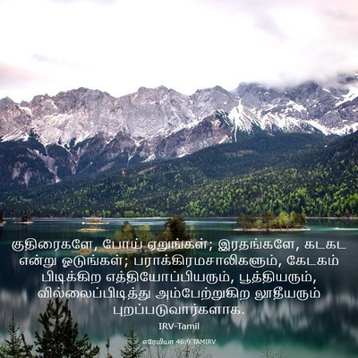Picture 03 - எரேமியா 46:9 TAMIRV - குதிரைகளே, போய் - Bible Verse Picture