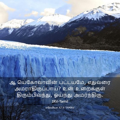 Picture 03 - எரேமியா 47:6 TAMIRV - ஆ யெகோவாவின் - Bible Verse Picture