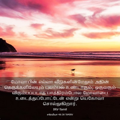 Picture 03 - எரேமியா 48:38 TAMIRV - மோவாபின் எல்லா - Bible Verse Picture
