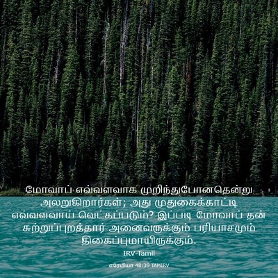 Picture 03 - எரேமியா 48:39 TAMIRV - மோவாப் எவ்வளவாக - Bible Verse Picture