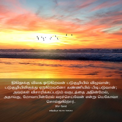 Picture 03 - எரேமியா 48:44 TAMIRV - திகிலுக்கு விலக - Bible Verse Picture