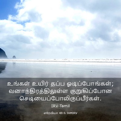 Picture 03 - எரேமியா 48:6 TAMIRV - உங்கள் உயிர் தப்ப - Bible Verse Picture