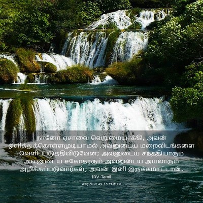 Picture 03 - எரேமியா 49:10 TAMIRV - நானோ ஏசாவை - Bible Verse Picture