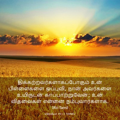 Picture 03 - எரேமியா 49:11 TAMIRV -  - Bible Verse Picture