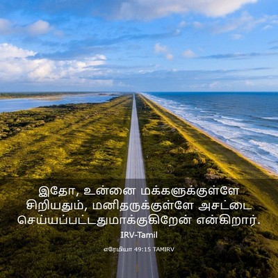 Picture 03 - எரேமியா 49:15 TAMIRV - இதோ, உன்னை - Bible Verse Picture