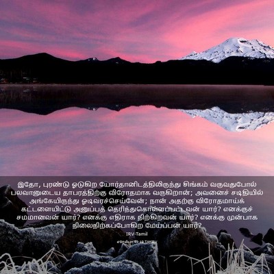 Picture 03 - எரேமியா 49:19 TAMIRV - இதோ, புரண்டு - Bible Verse Picture