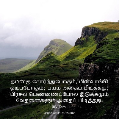 Picture 03 - எரேமியா 49:24 TAMIRV - தமஸ்கு - Bible Verse Picture