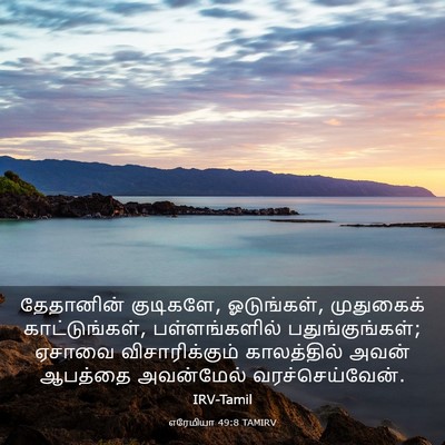 Picture 03 - எரேமியா 49:8 TAMIRV - தேதானின் குடிகளே, - Bible Verse Picture